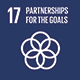 SDG 17